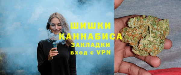 гашик Надым
