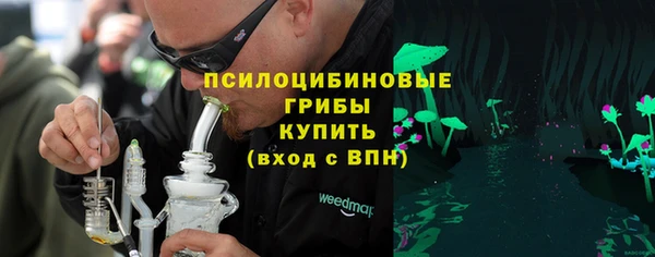 дурь Михайловск