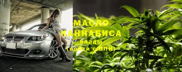 гашик Надым