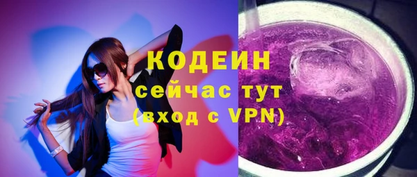 гашик Надым