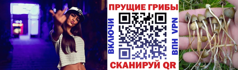 цена наркотик  МЕГА ТОР  Галлюциногенные грибы прущие грибы  Нефтегорск 
